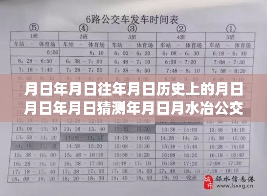 探索历史与实时公交查询，全方位指南及月日月日公交实时线路信息解析