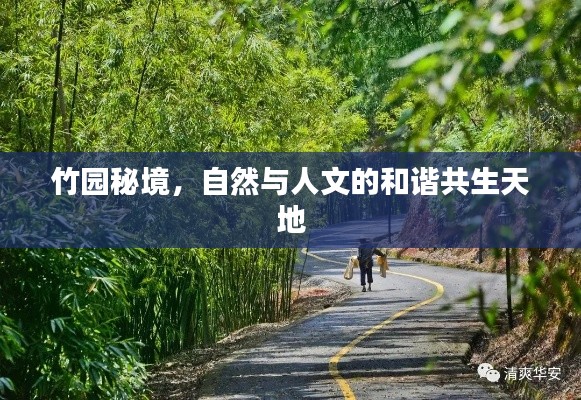 竹园秘境，自然与人文的和谐共生天地